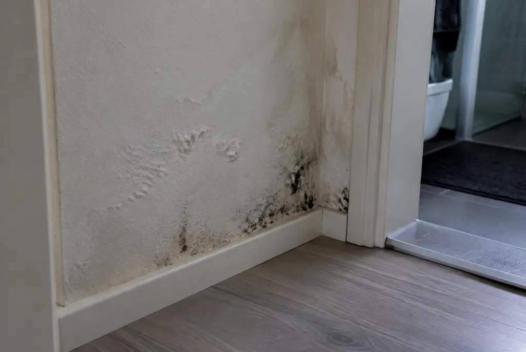 Lekdetectie Monnickendam – vochtplek met schimmel op een muur